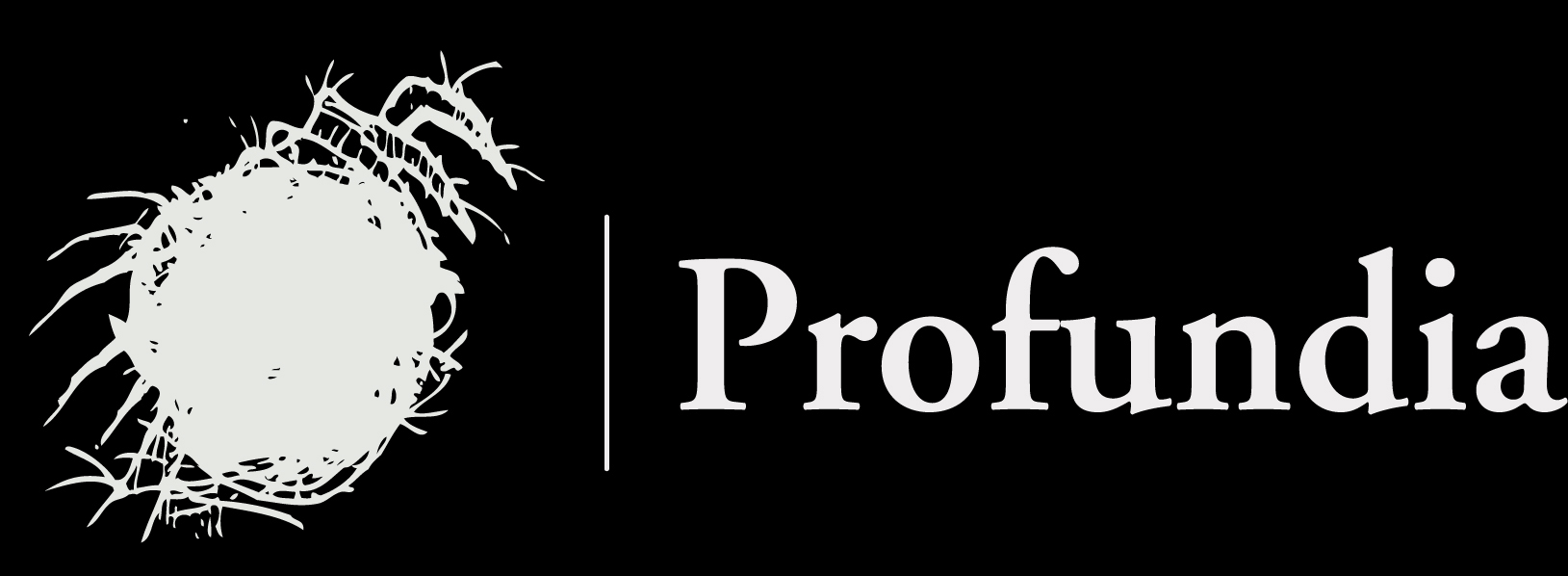 Logo Profundia